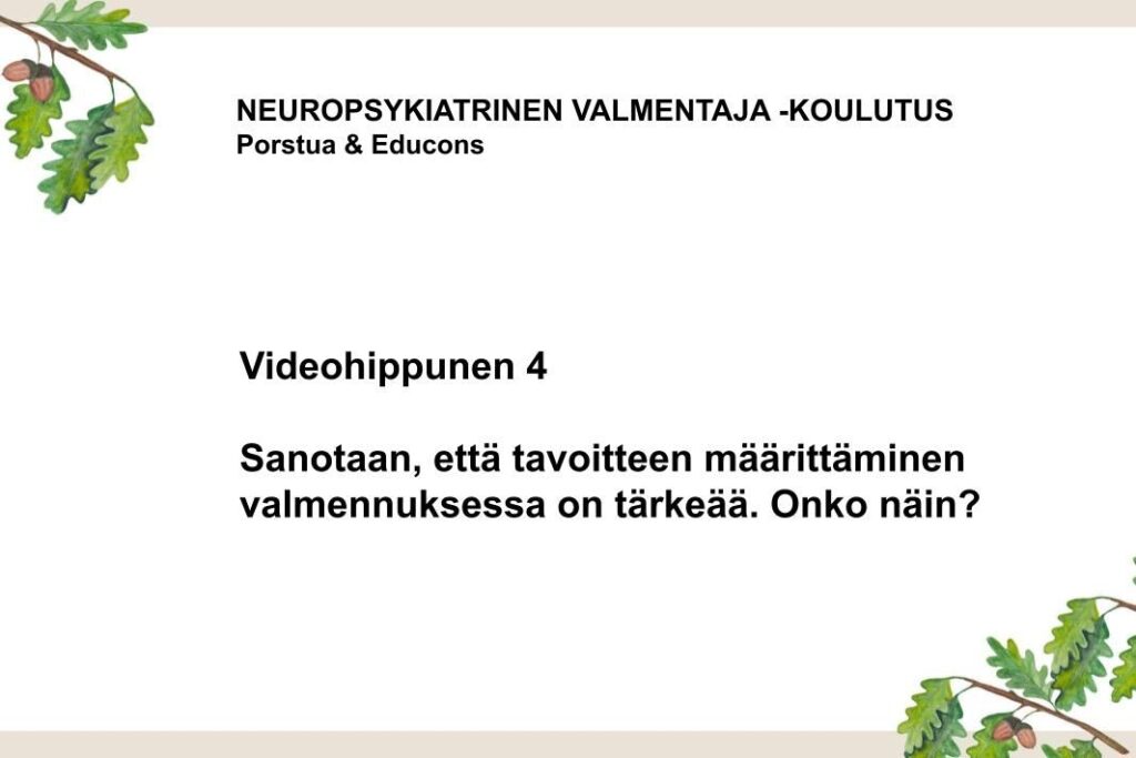 Videohippunen 4: Tavoite