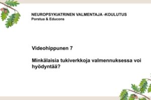 Videohippunen 7