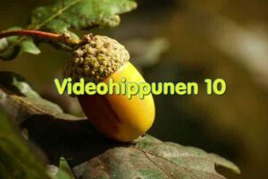 Videohippunen 10